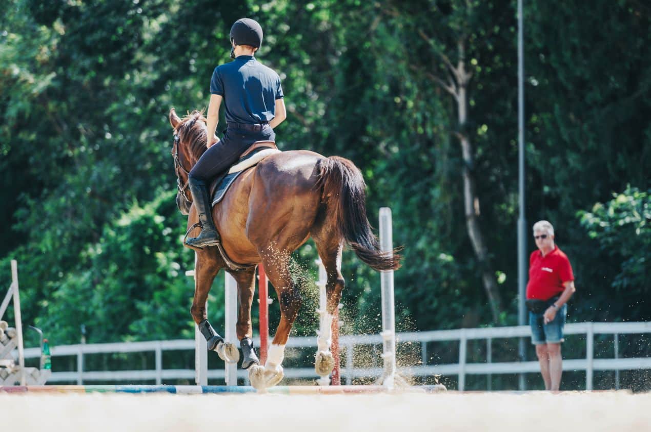 Trainer supervises rider on warmblood during jump schooling – essential prep for jumping horses for sale