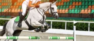 Grey horse clearing jump in show ring – dynamic example of athletic jumping horses for sale